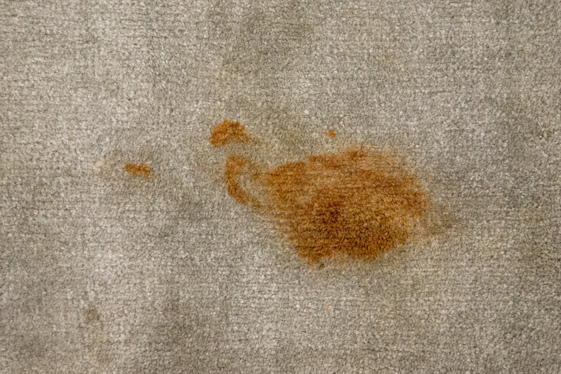 Effective Methods for Removing Coffee Stains from Carpet